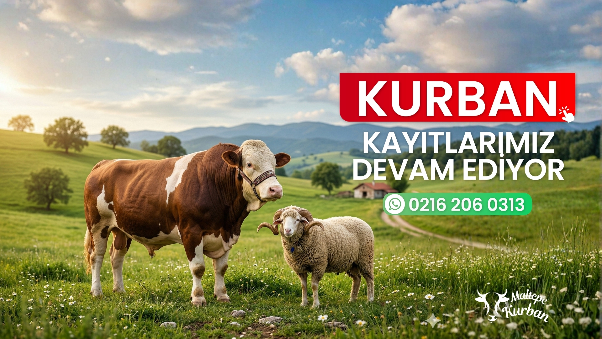 Maltepe Kurban Kampanya 1