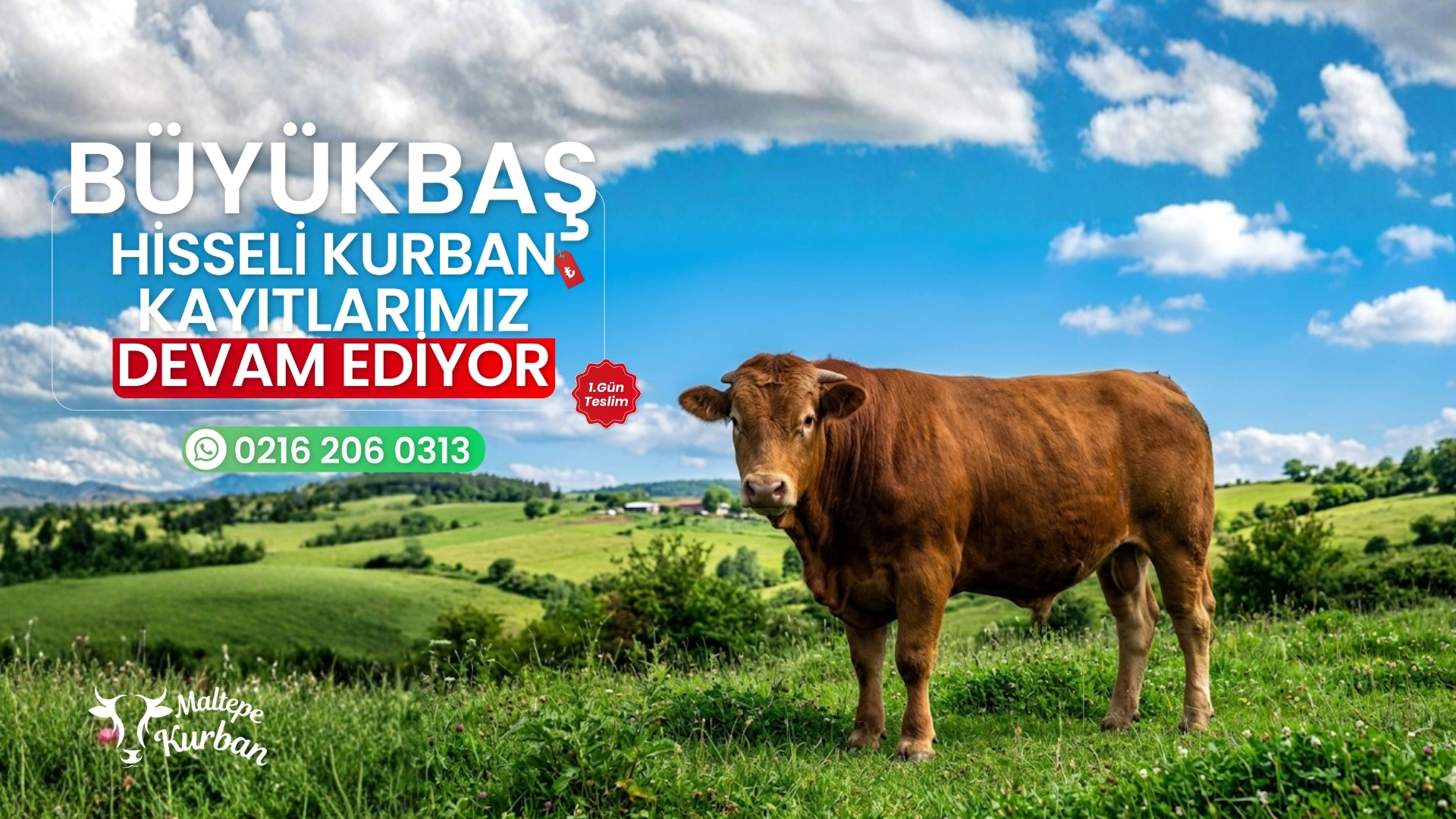 Maltepe Kurban Kampanya 2